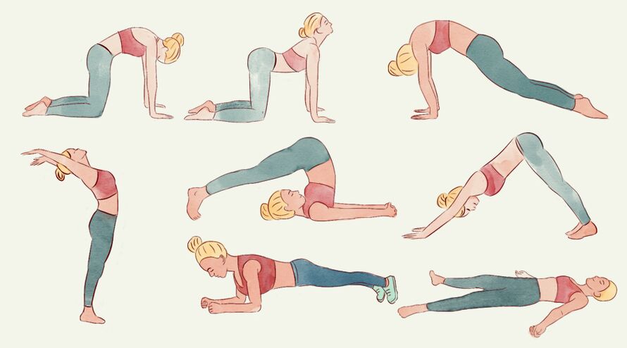 Exercicios para a dor de costas