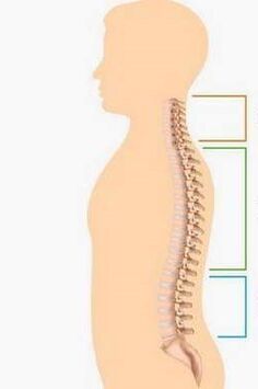 Lesión da osteocondrose de diferentes partes da columna vertebral